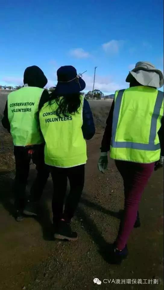 1540456940201209.jpg 微信图片_20181025163835.jpg