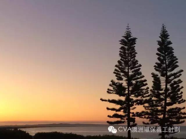 1540457118125527.jpg 微信图片_20181025163912.jpg